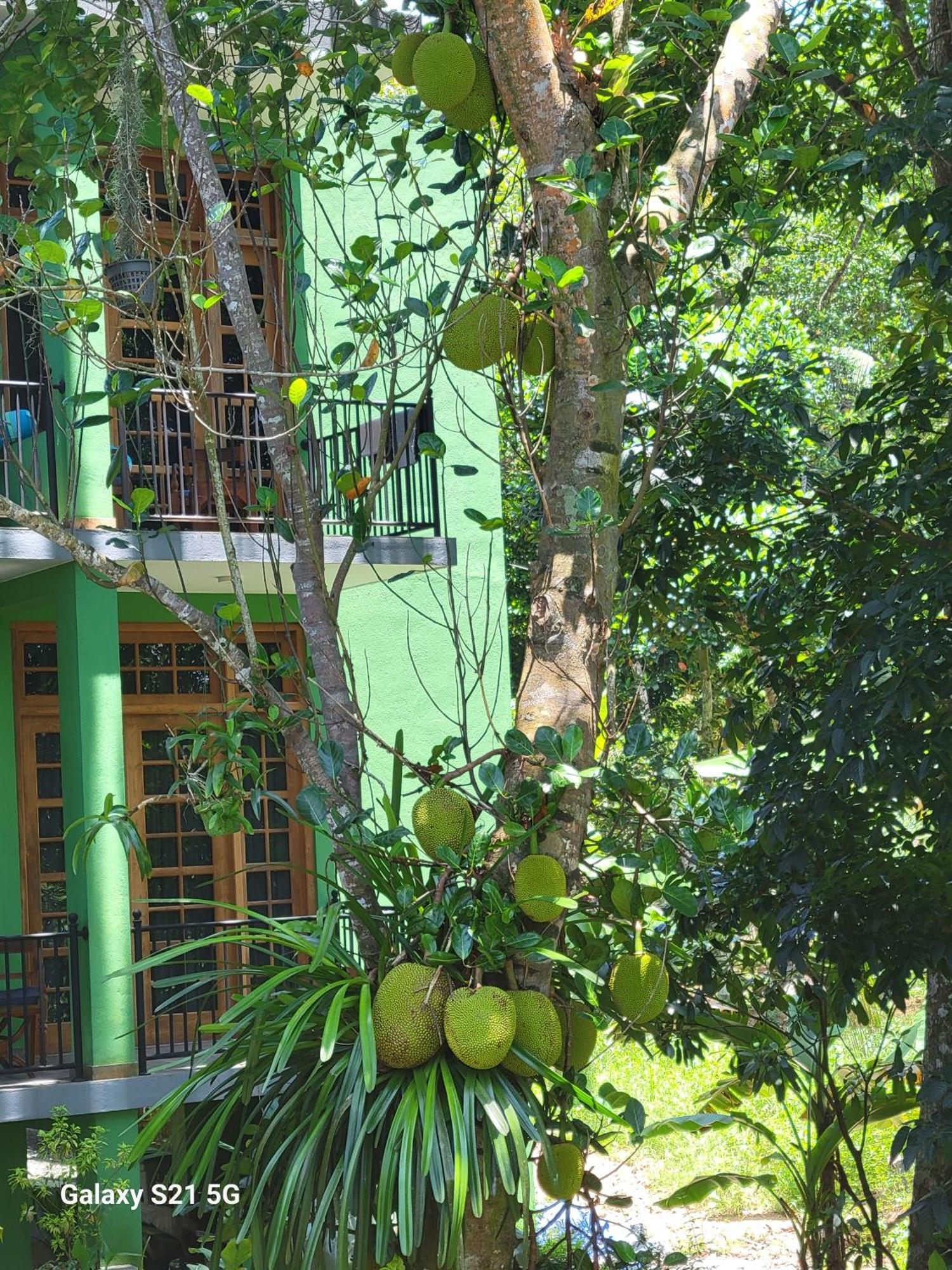 Barefoot Bungalow Hikka Hikkaduwa Exterior photo